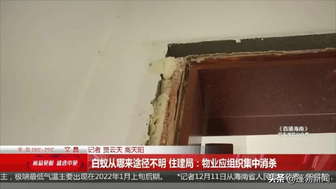 房地产白蚁防治收费标准_防治局房地产白蚁管理办法最新_房地产管理局白蚁防治所