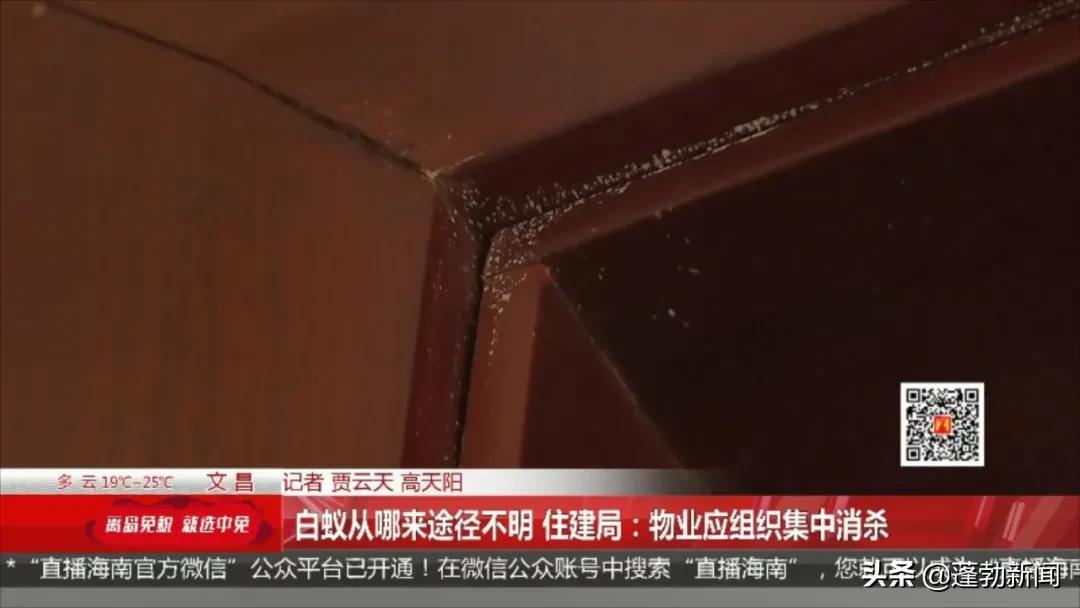房地产管理局白蚁防治所_房地产白蚁防治收费标准_防治局房地产白蚁管理办法最新