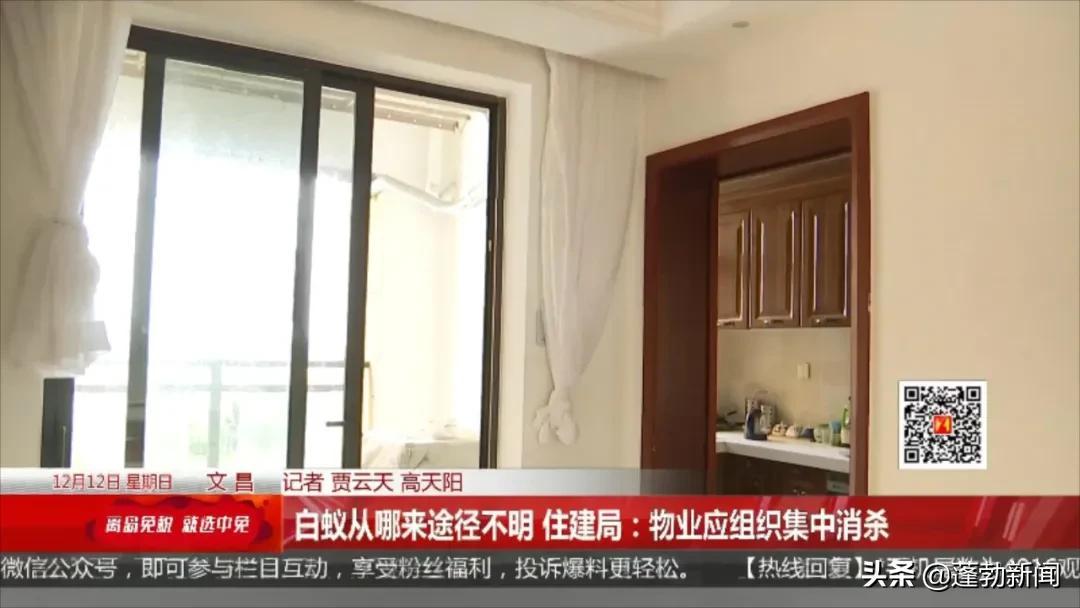 房地产白蚁防治收费标准_防治局房地产白蚁管理办法最新_房地产管理局白蚁防治所