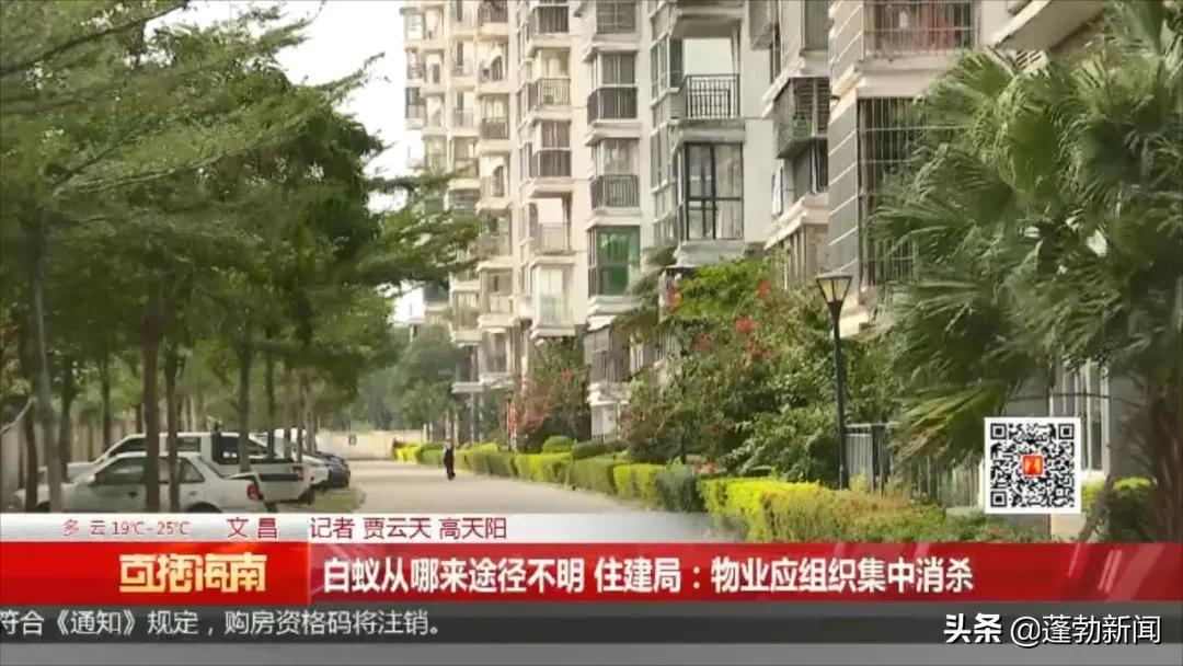 防治局房地产白蚁管理办法最新_房地产管理局白蚁防治所_房地产白蚁防治收费标准