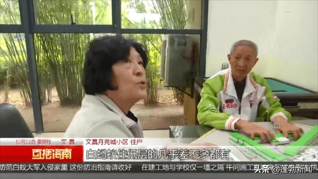 房地产白蚁防治收费标准_房地产管理局白蚁防治所_防治局房地产白蚁管理办法最新