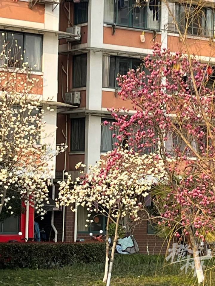 安吉二手房网_安吉二手房网二手房出售_安吉路二手房