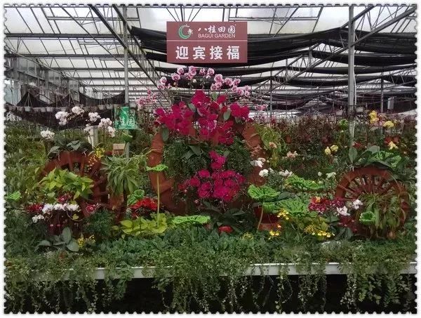 安吉农家乐二日游_安吉农家乐游记_安吉春节农家乐