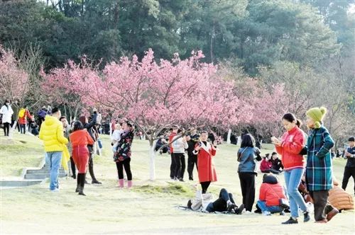 安吉农家乐二日游_安吉春节农家乐_安吉农家乐游记