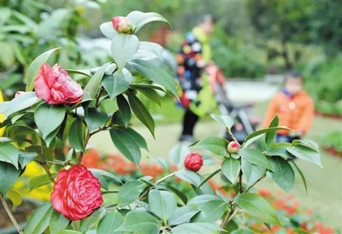 安吉农家乐游记_安吉农家乐二日游_安吉春节农家乐