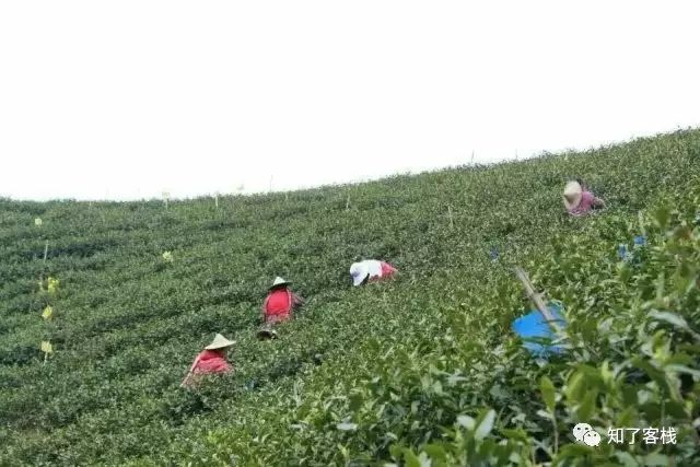 安吉竹工艺品厂_安吉竹制品有哪些_安吉的竹制品