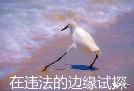 湖州安吉派出所_安吉派出所_安吉县派出所