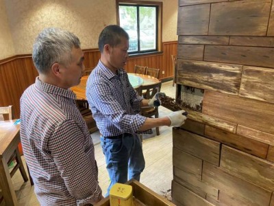 桐庐白蚁防治站:家中发现白蚁该如何处理?