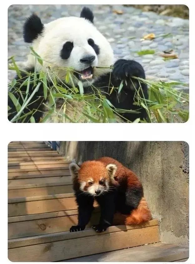 安吉客运中心到杭州机场的大巴_安吉客运站有到机场的车吗_安吉到机场有地铁吗