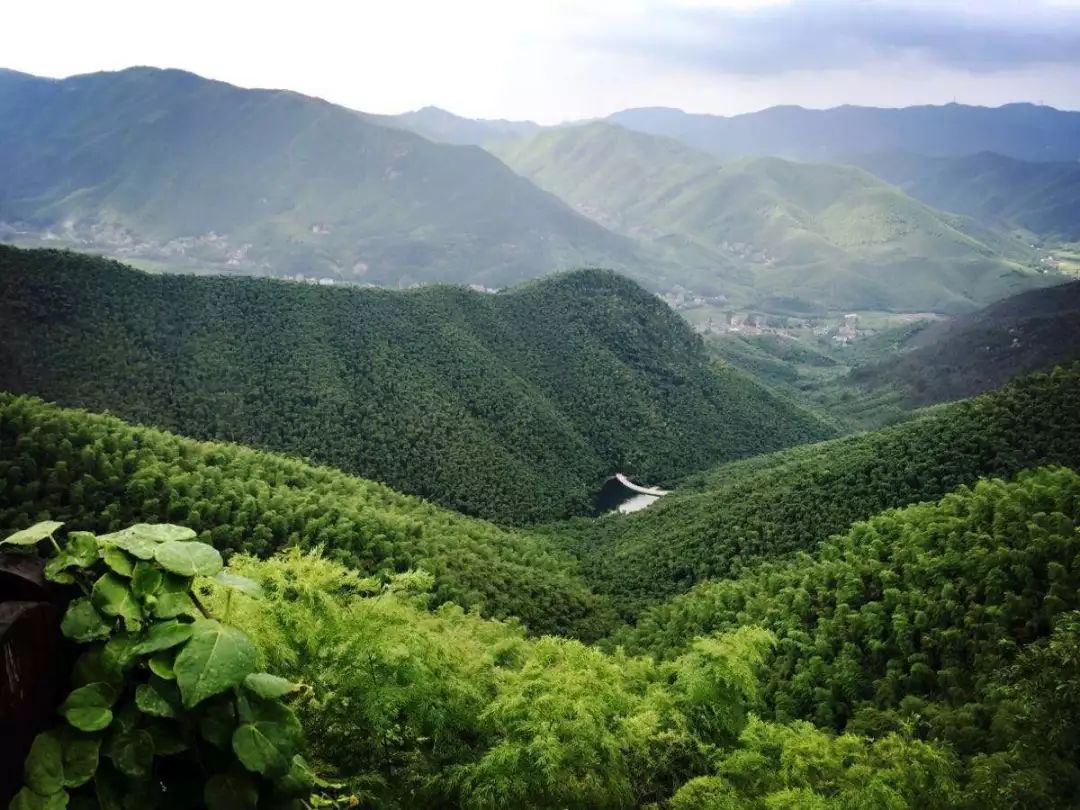 自驾上海安吉游最佳路线_上海至安吉自驾游_自驾上海安吉游玩攻略