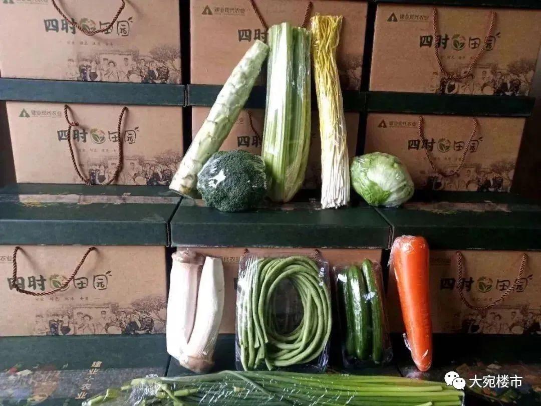南阳楼市崩塌_南阳楼房倒塌_南阳房屋倒塌事件视频
