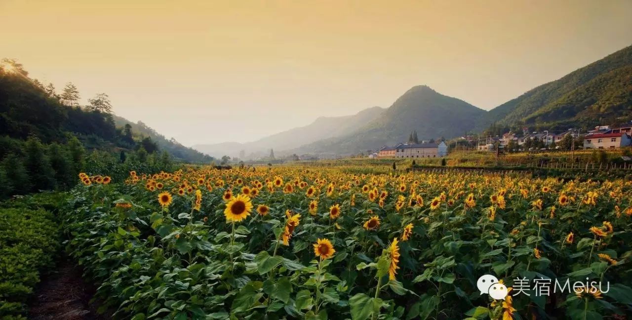 安吉山川乡农家乐_安吉山川农家乐_安吉山川农家乐价格