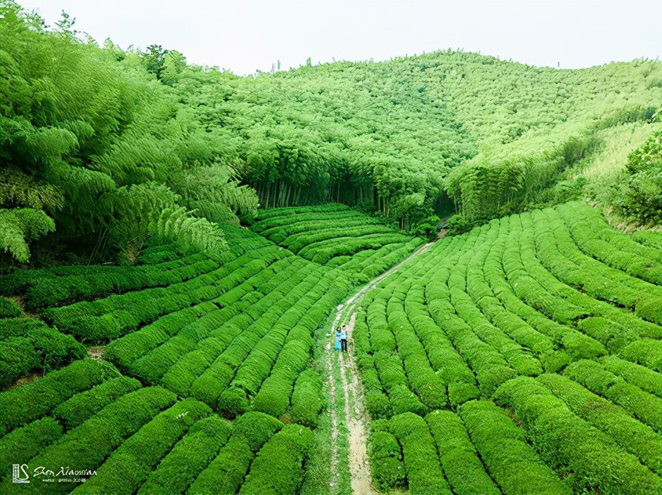 安吉旅游地图_安吉旅游地图高清版大图_安吉旅游地图