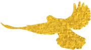 房地产资质等级_房地产的资质等级_资质房地产等级怎么填