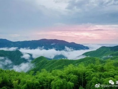 浙江的美景，一定少不了安吉的山水和村庄