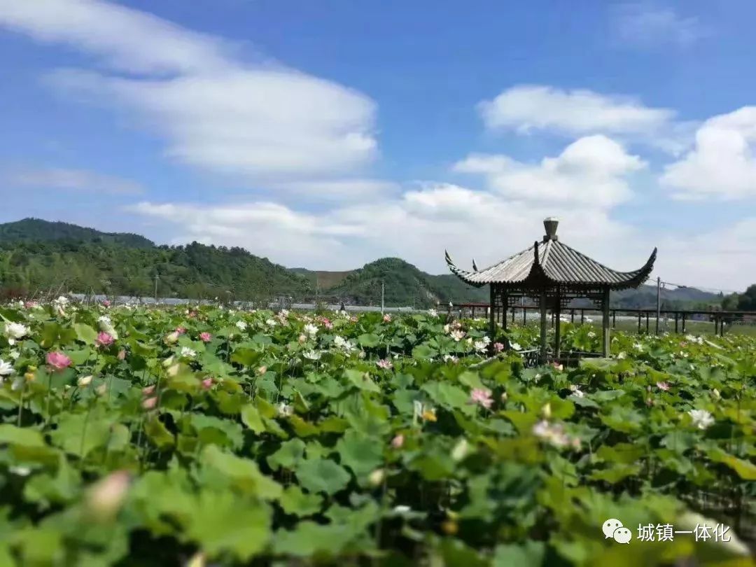 安吉赵怀君_安吉赵怀君_一度君华明月入君怀txt