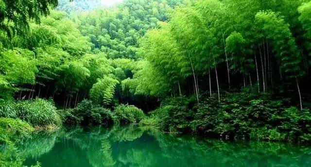 安吉藏龙百瀑景区宾馆_安吉的藏龙瀑布_安吉藏龙百瀑附近景点