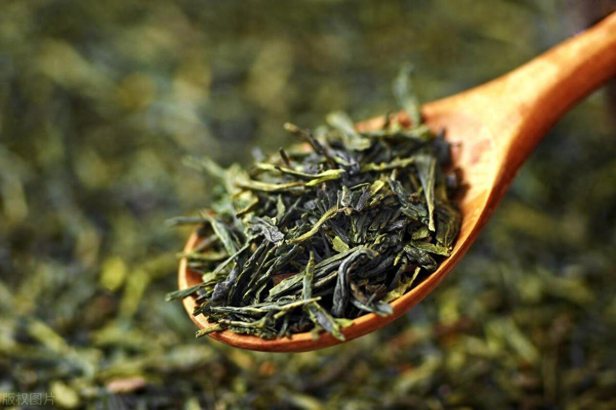 安吉白茶 泡_泡安吉白茶的正确方法_泡安吉白茶需要洗茶吗