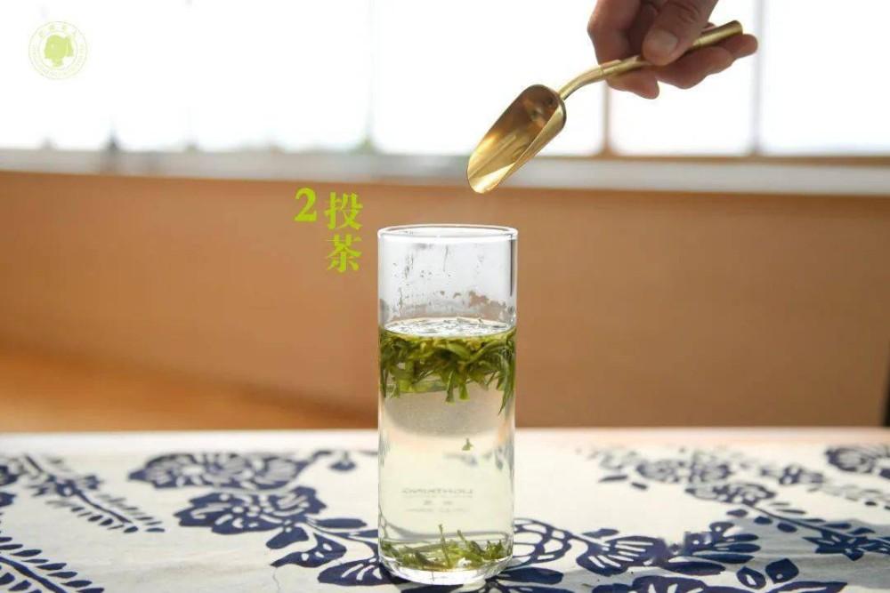 安吉白茶 泡_泡安吉白茶的正确方法_泡安吉白茶需要洗茶吗