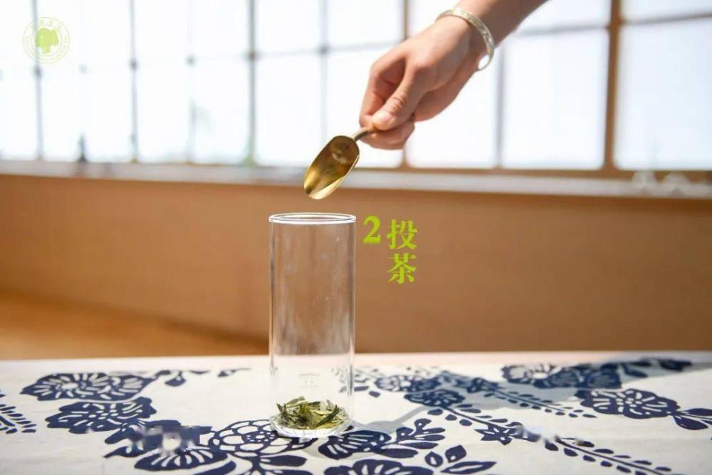 安吉白茶 泡_泡安吉白茶需要洗茶吗_泡安吉白茶的正确方法