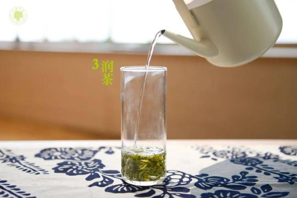 泡安吉白茶的正确方法_安吉白茶 泡_泡安吉白茶需要洗茶吗