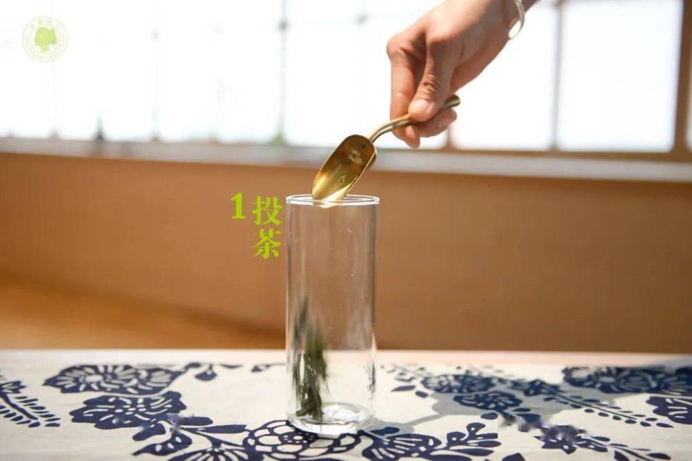 泡安吉白茶需要洗茶吗_安吉白茶 泡_泡安吉白茶的正确方法
