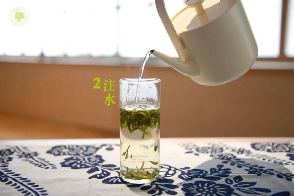 泡安吉白茶的正确方法_安吉白茶 泡_泡安吉白茶需要洗茶吗