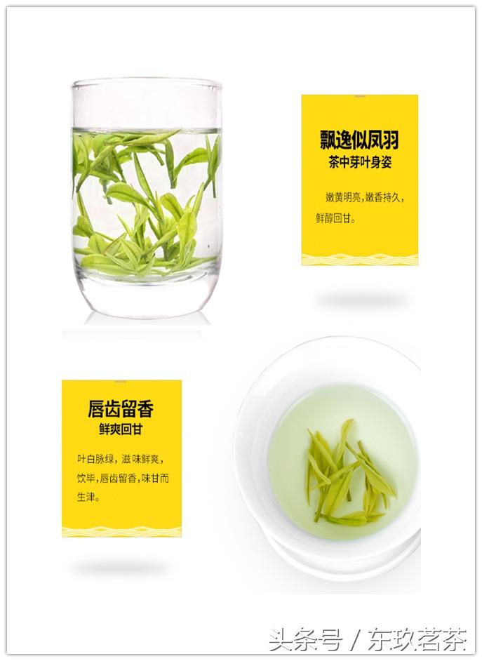 泡安吉白茶的正确方法_泡安吉白茶用什么杯子_安吉白茶 泡