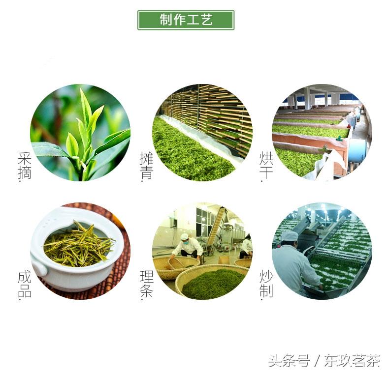 安吉白茶 泡_泡安吉白茶用什么杯子_泡安吉白茶的正确方法