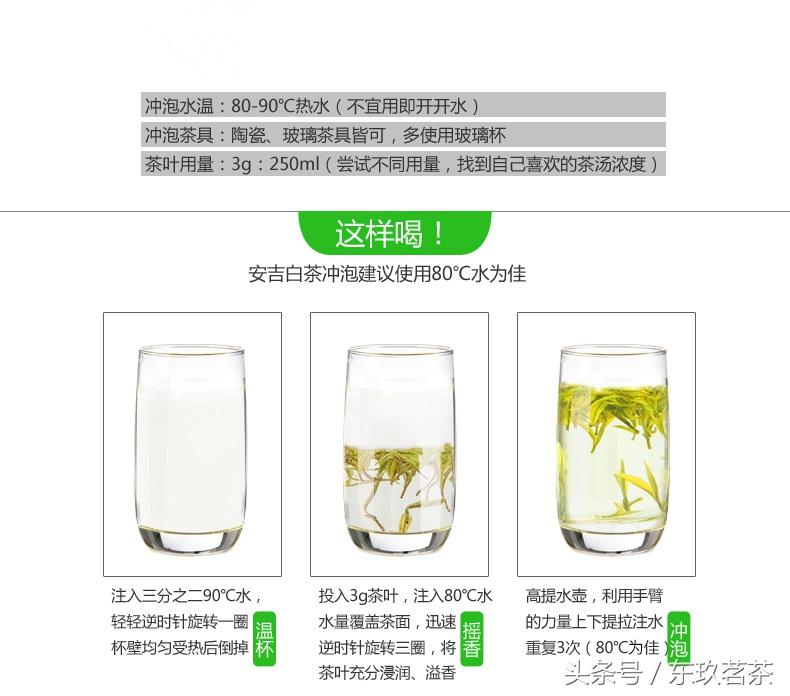 安吉白茶 泡_泡安吉白茶用什么杯子_泡安吉白茶的正确方法