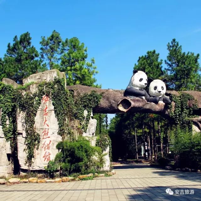 浙江安吉旅游网_浙江安吉旅游宣传片_浙江省安吉旅游景点