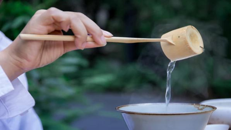 安吉白茶 泡_泡安吉白茶需要洗茶吗_泡安吉白茶的水温是多少