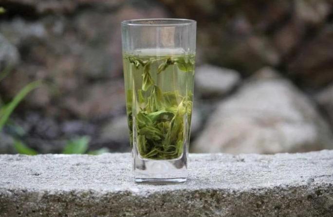 安吉白茶 泡_泡安吉白茶需要洗茶吗_泡安吉白茶的水温是多少