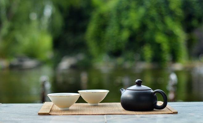 安吉白茶 泡_泡安吉白茶的水温度多少最好_泡安吉白茶需要洗茶吗