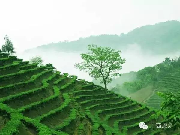 南宁机场到南宁安吉车站地铁_南宁飞机场到南宁安吉汽车站_南宁安吉站机场大巴
