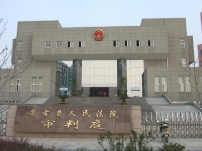 浙江安吉同泰皮革公司系列案件执行与破产审查详情