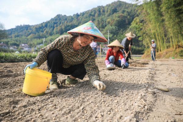 安吉县赋石水库搬迁_安吉赋石水库_安吉县赋石水库管理局