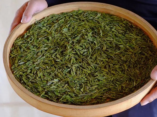 西湖龙井和安吉白茶哪个好喝_安吉白茶和西湖龙井_安吉白茶龙井