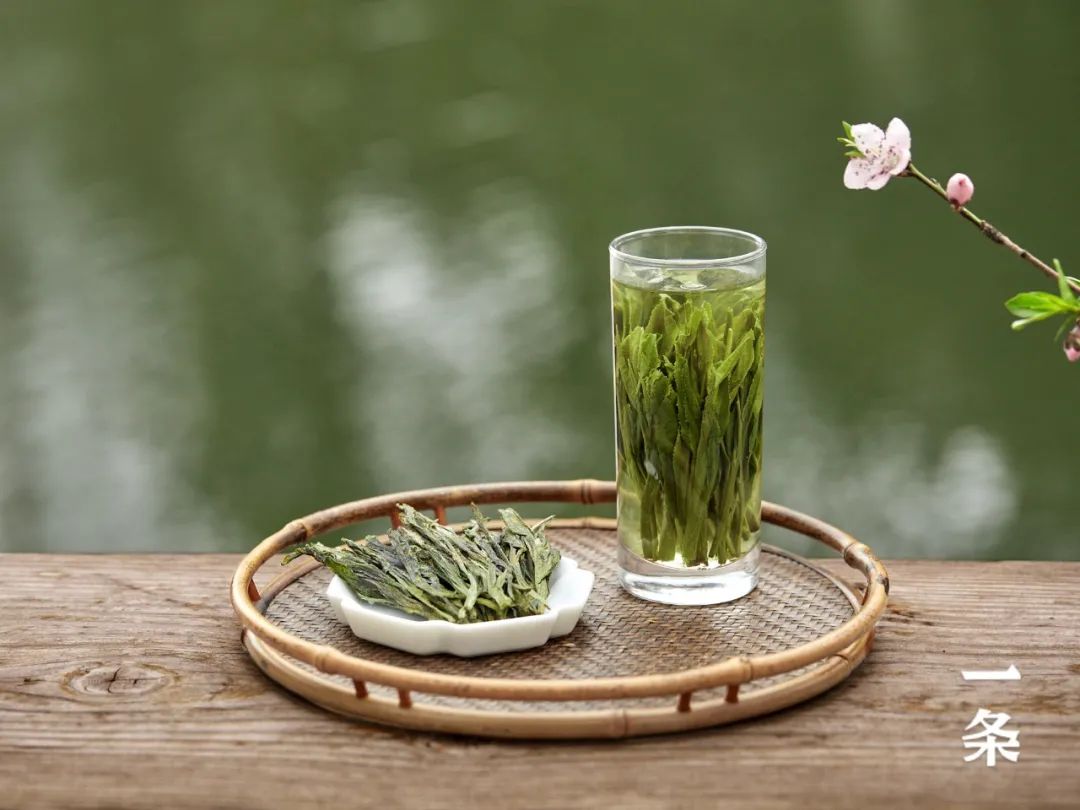 安吉白茶和西湖龙井_西湖龙井和安吉白茶哪个好喝_安吉白茶龙井