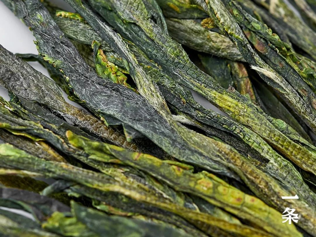 安吉白茶和西湖龙井_安吉白茶龙井_西湖龙井和安吉白茶哪个好喝