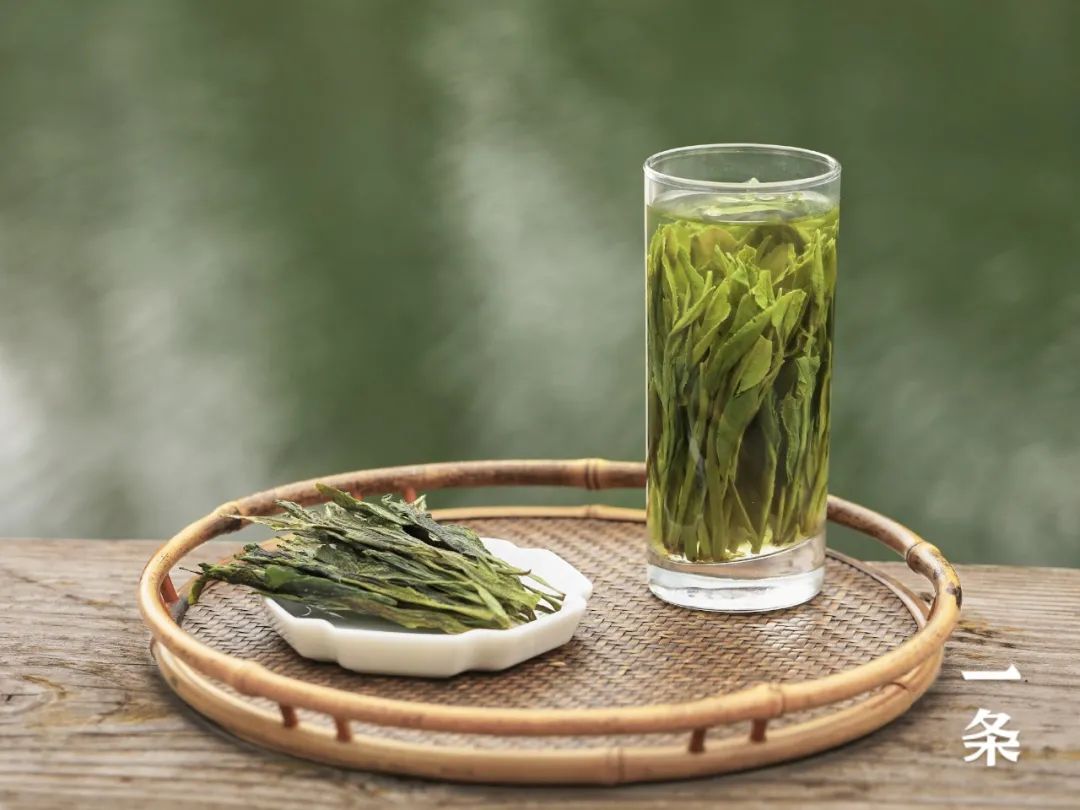 安吉白茶龙井_安吉白茶和西湖龙井_西湖龙井和安吉白茶哪个好喝