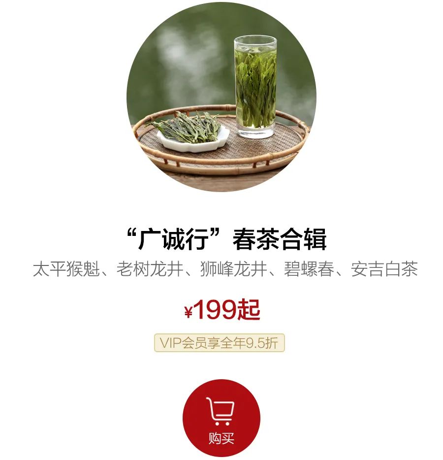 安吉白茶龙井_安吉白茶和西湖龙井_西湖龙井和安吉白茶哪个好喝