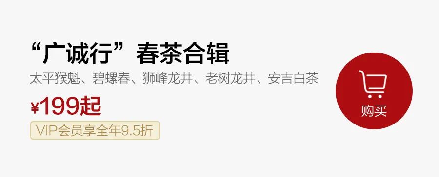 西湖龙井和安吉白茶哪个好喝_安吉白茶龙井_安吉白茶和西湖龙井