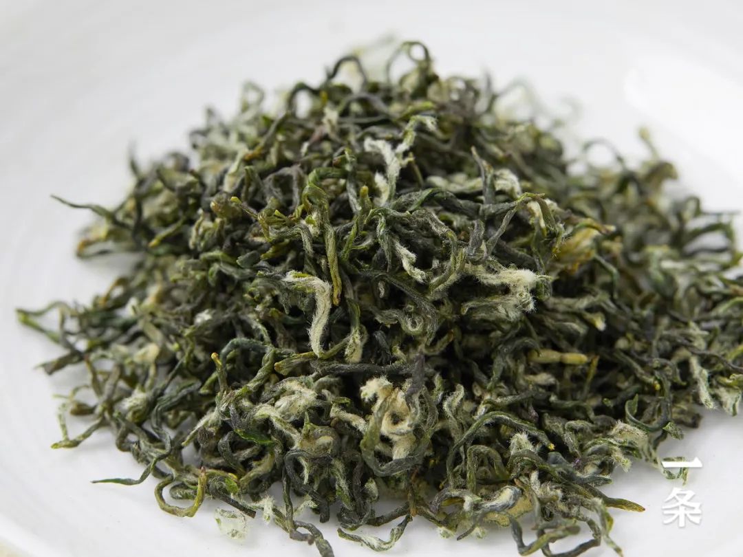 安吉白茶龙井_西湖龙井和安吉白茶哪个好喝_安吉白茶和西湖龙井