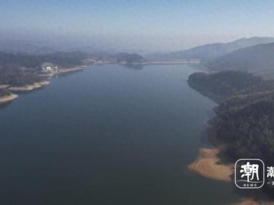 浙江安吉赋石水库：追寻国宝中华秋沙鸭的越冬栖息地
