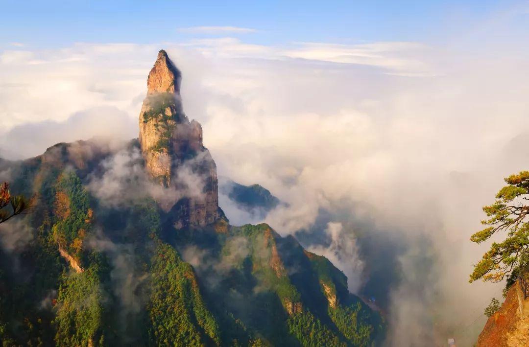 安吉旅游景点免费开放_景点安吉开放免费旅游吗_安吉免费景点推荐