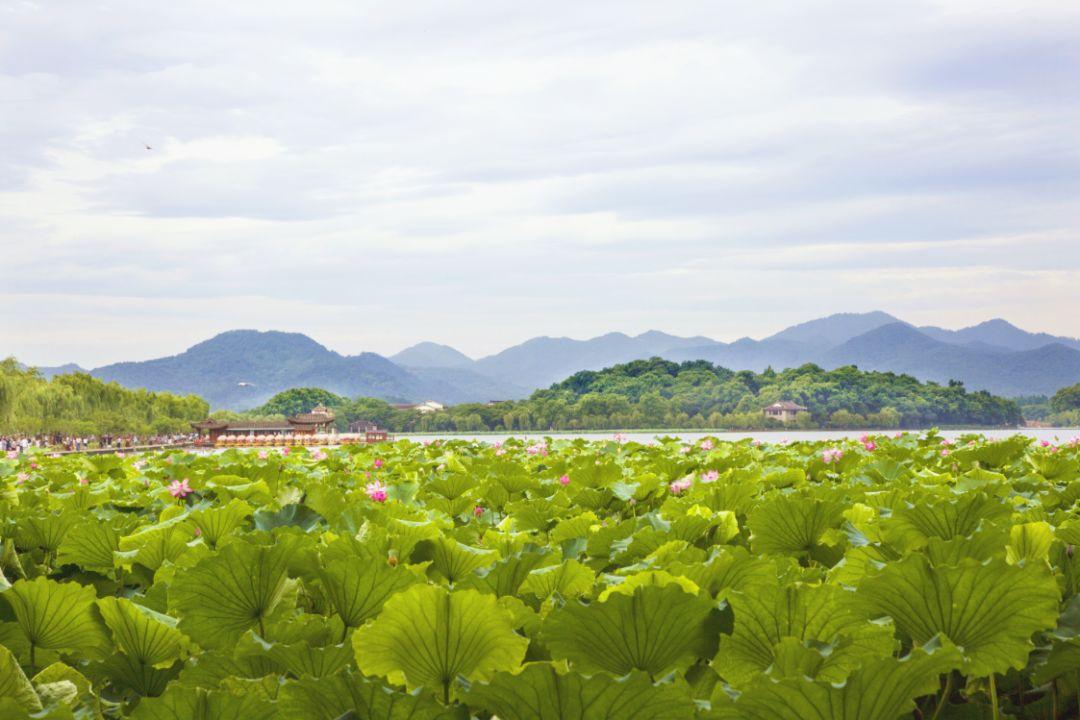 安吉免费景点推荐_景点安吉开放免费旅游吗_安吉旅游景点免费开放