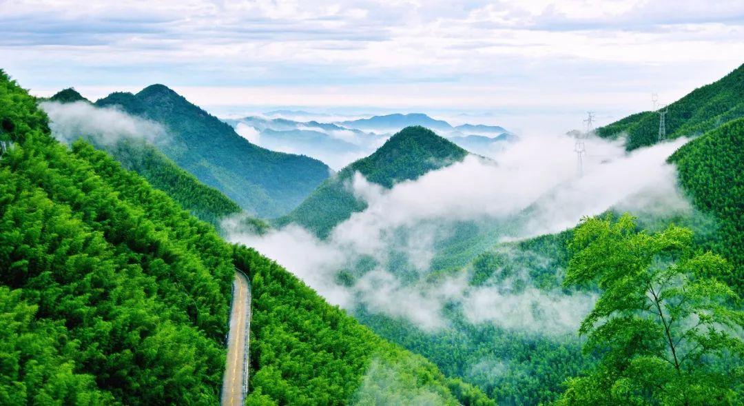 安吉旅游景点免费开放_安吉免费景点推荐_景点安吉开放免费旅游吗