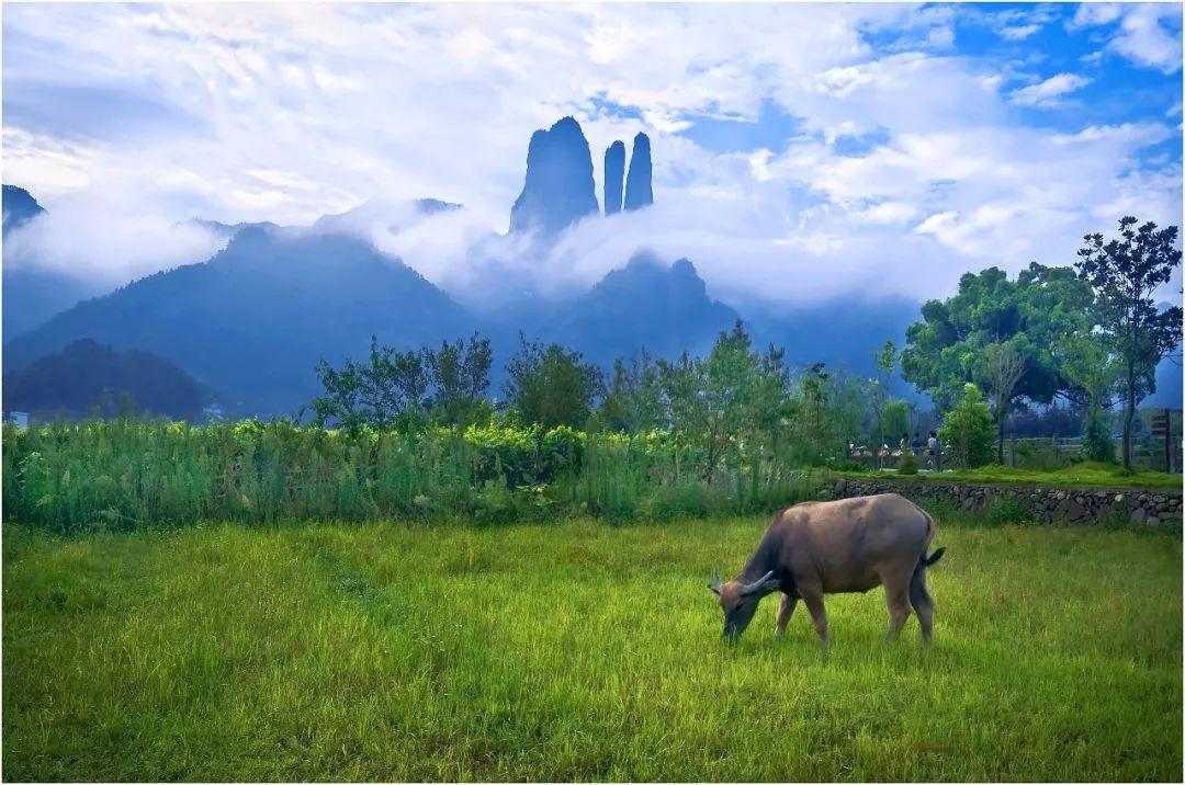 安吉免费景点推荐_安吉旅游景点免费开放_景点安吉开放免费旅游吗