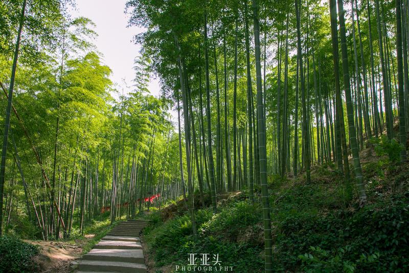 安吉旅游景点免费开放_安吉旅游免费的景点_2020年安吉免门票的景点